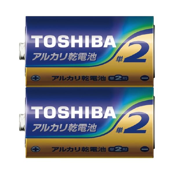 東芝アルカリ乾電池 単2形 2本&times;50パック[21]｜家具・インテリア雑貨　カグール