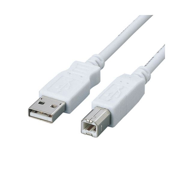 （まとめ）エレコムフェライトコア内蔵USB2.0相応う有線テレビ (A)牡-(B)牡 白いこと 3.0m USB2-FS3 1本【×5書き割り】[21]