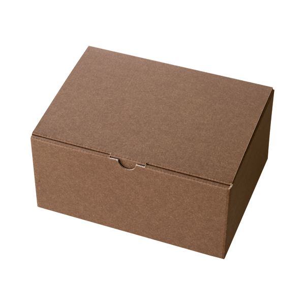 (まとめ) ヘッズ 無地ブラウンギフトボックス W223×D170×H110粍 MBR-GB3 1容器に並べる(10枚)  【×10仕掛ける】[21]