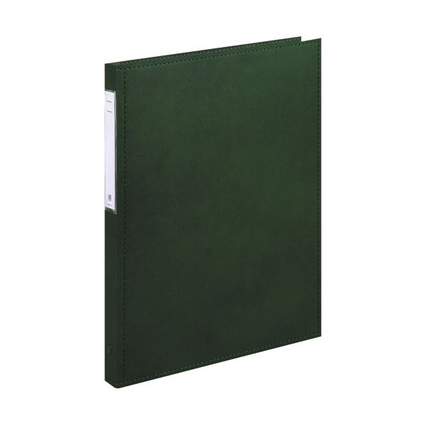 （まとめ）リヒトラブ カルテブック（スタンダード）A4タテ 4穴 背幅28mm グリーン HB407-3 1冊【×2セット】[21]