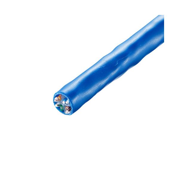 サンワサプライ CAT6UTP単線有線テレビのみ100m KB-C6L-CB100BLN[21]