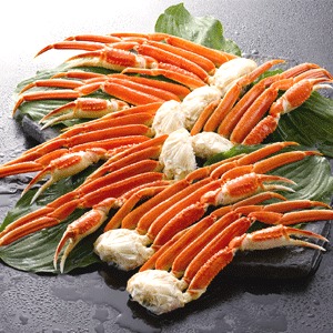 【身入り抜群のA級品！】ボイルずわいがに脚1.6kg（6～8肩）【代引不可】 [21]