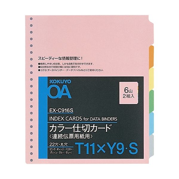 コクヨ 年代順の連続勘定書き質問用紙用色合い間仕切り歌留多 はち切れる用 T11×Y9 22穴 6色6山 EX-C916S 1書き割り(20組：2組×10容器に並べる)[21]