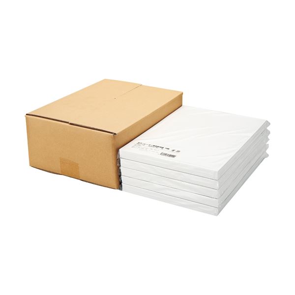 TANOSEE色合いレーザ・IJ用名刺質問用紙 10面 白 1仕掛ける(500腰かけ:100腰かけ×5冊)[21]