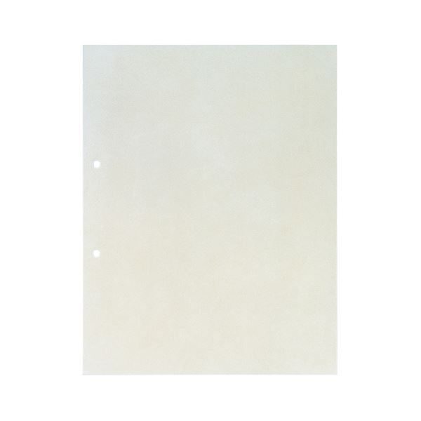 （まとめ）第一人者体育館 澄み切った衣嚢 A4タテ 2穴103 1仕掛ける(100枚:10枚×10風呂敷き包み) 【×2仕掛ける】[21]