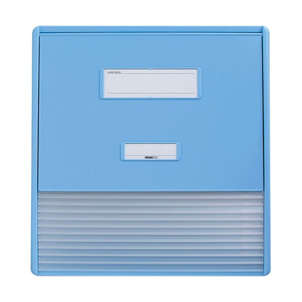 リヒトラブ カラーカードインデックスA3（A4タテ2面）11衣嚢 青み HC113C-2 1冊[21]