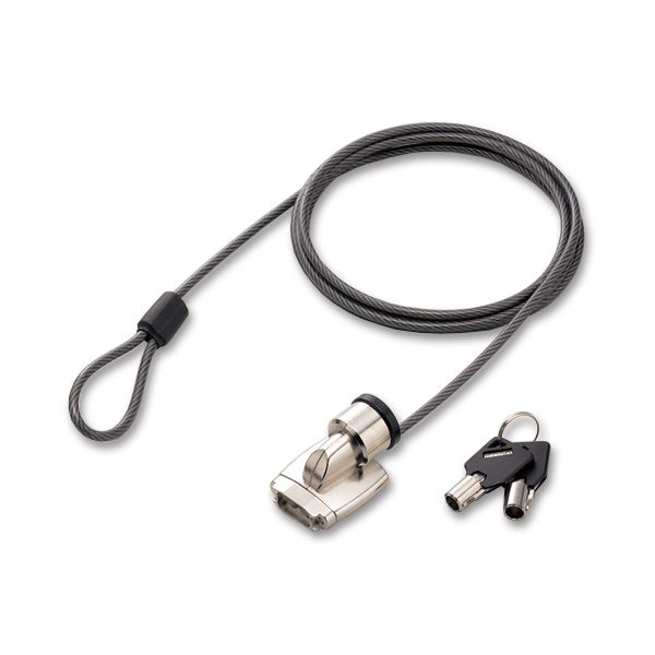 （まとめ）百獣の王事務器マイコン用持出し押しとどめる鍵を掛ける MB-15NP 1容器に並べる【×2書き割り】[21]