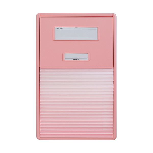 リヒトラブ カラーカードインデックスA4 21衣嚢 サクラ色 HC112C-4 1冊[21]