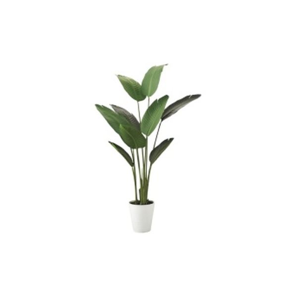 東北花材 人工樹 オーガスタ 90857 [21] 観葉植物-花・観葉植物-花・ガーデン・DIY
