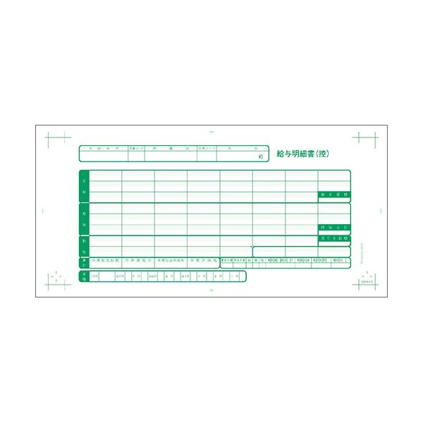 ダイオープリンティング 給与明細書I 2枚複写 BP1003010R03 1箱(500セット) [21]
