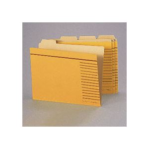 （まとめ）ライオン事務器 カットフォルダー B4判B4-4F-R-20P 1パック(20冊) 【×3セット】[21]