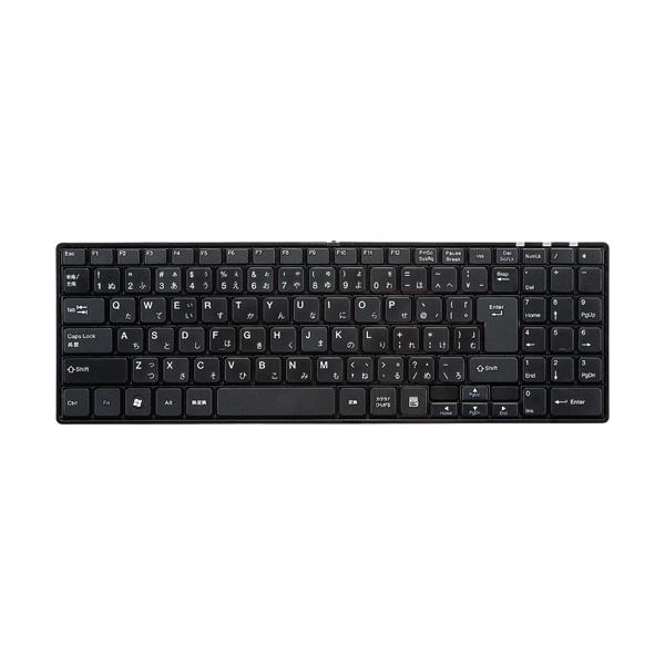 (まとめ）サンワサプライ 静音スリムキーボードテンキー付き添い人 黒いこと SKB-SL19BK 1台【×3仕掛ける】[21]