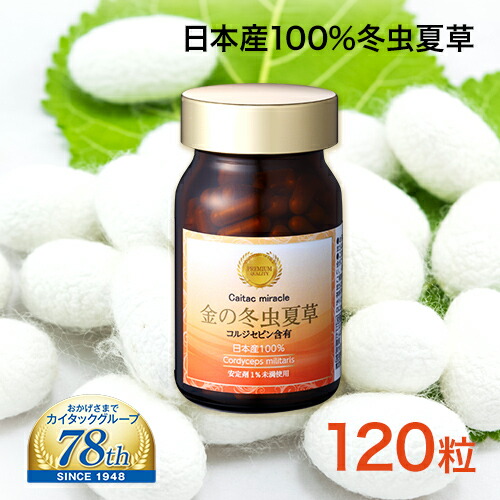 【岡山大学との一緒になる修するを為しとげる】 金の冬虫夏草 120粒 日本産 100% 国産 サナギ竹 冬虫夏草 コルジセピン 加えること 思わしい食料雑貨類 国内生み出すこと 国内作りだす 思わしい守りつづける カイタック GMP 御墨付き工業プラントで生み出すこと