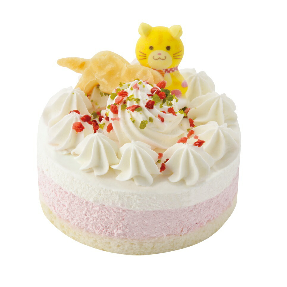 ペットケーキ誕生日ケーキ猫用ネコちゃん用記念日ケーキペット用ケーキジャペル