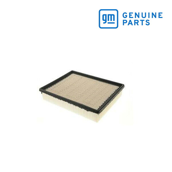GM純正 エア クリーナー フィルター エレメント 22845992 02-05y エスカレード/エスカレードESV/エスカレードEXT｜カリフォルニアカスタム店