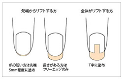 楽天市場 即日発送可 Pregel プリジェル マジカルプライマー 7ml ネイル ネイルの持ちが良くなる リフト対策 ネイルプライマー ジェル ネイル キャラカ