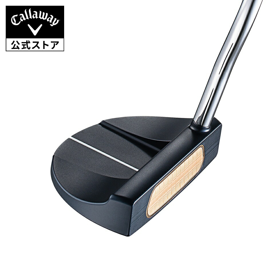 楽天市場】【店内全品ポイント5倍】【公式】オデッセイ Ai-ONE