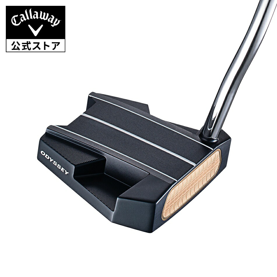 楽天市場】【店内全品ポイント10倍】【11/21PRICE DOWN】【公式