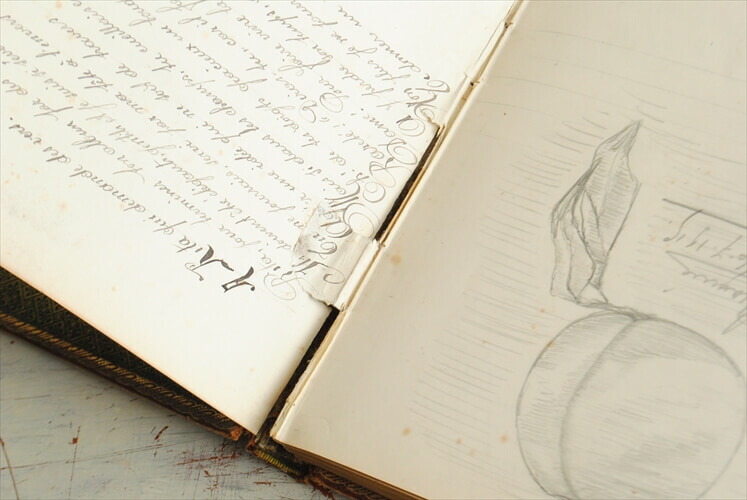 楽天市場 送料無料 1910年代 フランスの古い日記 イラスト 本革装丁 ディスプレイ 古書 アンティークブック インテリア 撮影小物 1029 Callum Shop