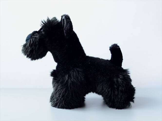 ♪♪♪。　オールドシュタイフ　シュナウザー　ぬいぐるみ　ヴィンテージ 1954-70年代 ドイツ製 Steiff 犬 シュナウザー Schnauzer Tessie