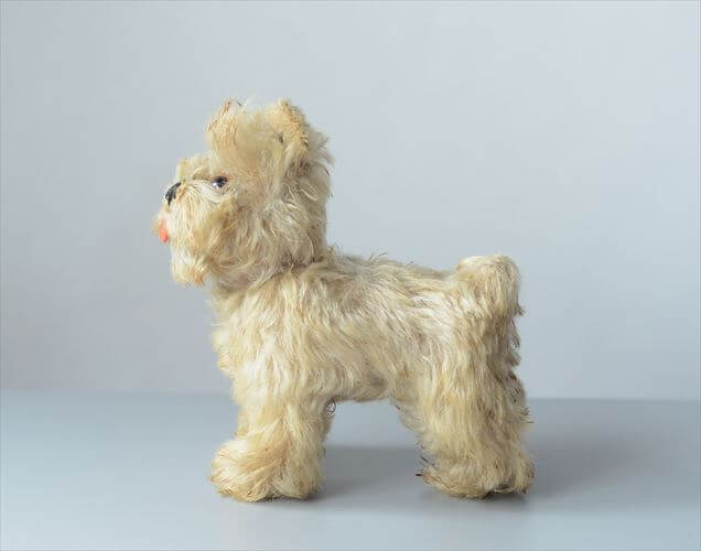 Steiff Hansi インコのぬいぐるみ 楽天市場】【送料無料】ドイツ製 Steiff Hansi セキセイインコ