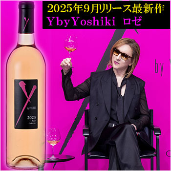 楽天市場】ご予約受付中 2025年最新版 正規品 【ワイ・バイ