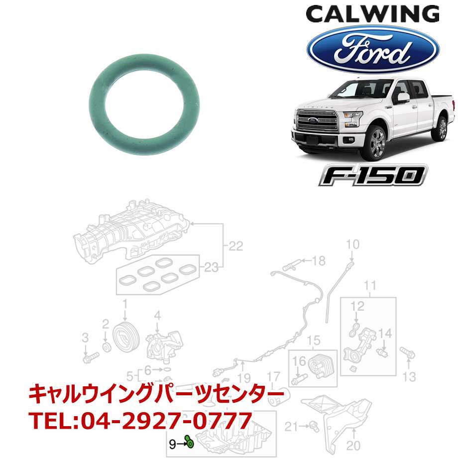 【楽天市場】15y F150 ガスケット エンジンオイルパンドレンボルト FORD純正：キャルウイングパーツ楽天市場店