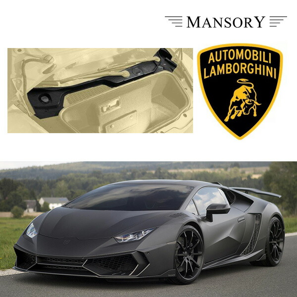 ランボルギーニ ウラカン マンソリー ウインドシールドパネル VisibleCarbon カーボン