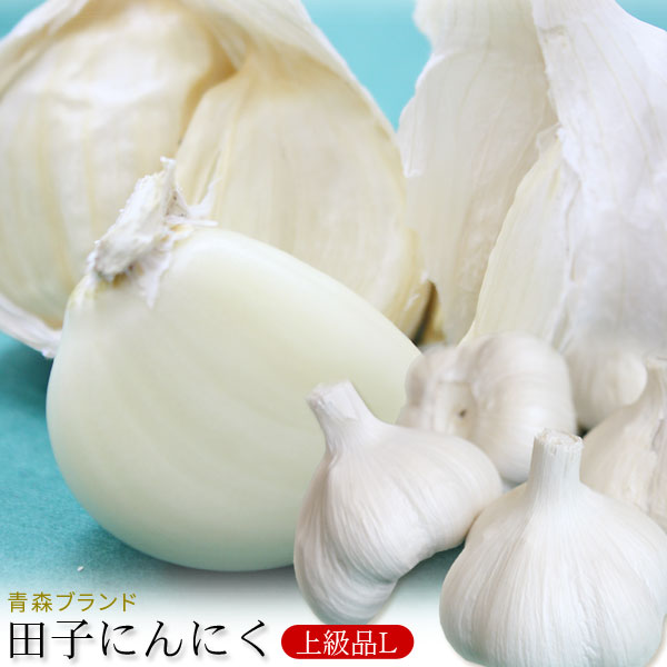 img58482570.jpg