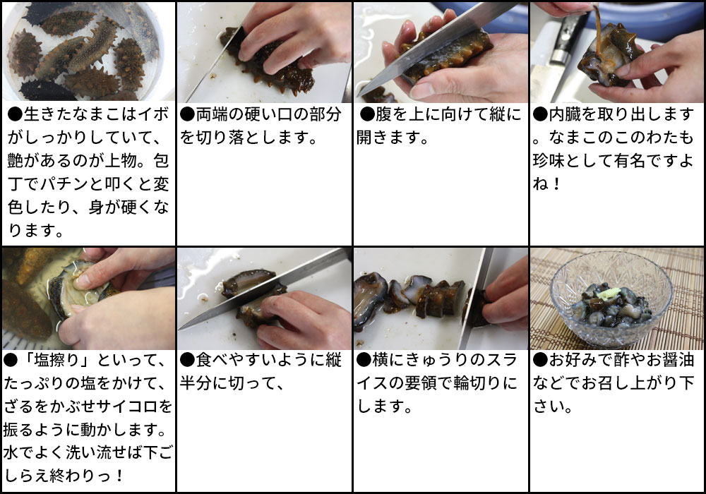 楽天市場 青森県陸奥湾産 なまこ 送料無料 活なまこ500g前後 有名な陸奥湾に面した野辺地町の ナマコ を活きたまま直送 クール便 他商品と同梱不可 かめあし商店