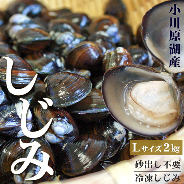 楽天市場】しじみ 送料無料 青森県産 【小川原湖産 冷凍しじみ Lサイズ1kg（500g×2パック）】 便利な小分けタイプ  旨みたっぷり濃厚な出汁が出る小川原湖産のしじみ貝[※冷凍便][※他商品との同梱不可] : かめあし商店