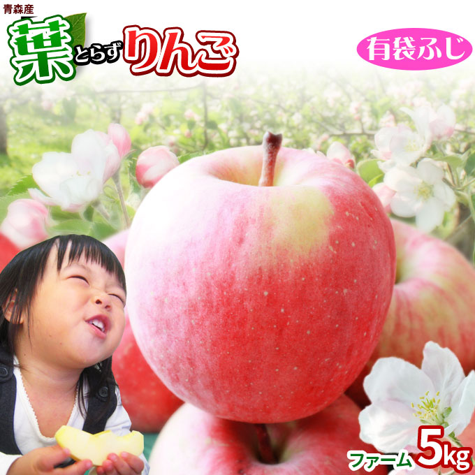 「りんご」の美味しい産地から、安くて量が多いいオススメのお取り寄せは？