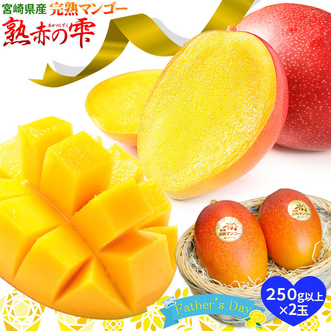 エントリーでポイント5倍 父の日 ギフト 宮崎県産【マンゴー 熟赤の雫 化粧箱2玉 250g以上×2玉】送料無料 鉢植栽培ならではの濃厚な甘さを産地直送 宮崎 完熟 マンゴー 父の日 フルーツ ギフト [※産地直送・同梱不可・常温便・予約順発送]