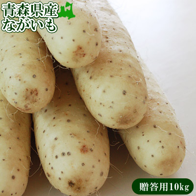 エントリーでポイント5倍 長芋 送料無用 青森県 東北町 七戸町産  【青森県産ながいも贈答用10kg】(2L～Lサイズ 12-15本) JAゆうき青森 から「おなごぶりいい」美白ながいも [※常温便/産地直送のため同梱不可] グリーンジアース 長いも 山芋 山いも