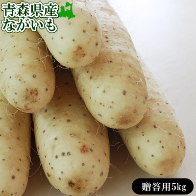 エントリーでポイント5倍 長芋 送料無用 青森県 東北町 七戸町産 【青森県産ながいも贈答用5kg】(2L～Lサイズ6-8本)  JAゆうき青森 から「おなごぶりいい」美白ながいも  [※常温便/産地直送のため同梱不可] グリーンジアース 長いも 山芋 山いも