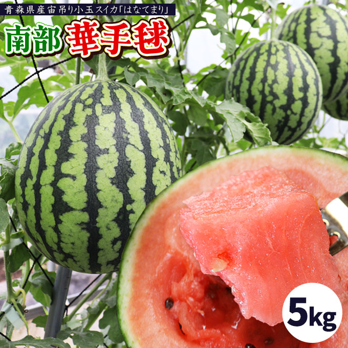 エントリーでポイント5倍 小玉スイカ 送料無料 【青森県産 小玉すいか 南部華手毬 5kg以上】 3玉－6玉 食べ応えのあるシャリ感としっかりとした果肉 大向農園から直送 スイカ すいか 西瓜 [※同梱不可][※配送指定不可・ご予約順の発送]