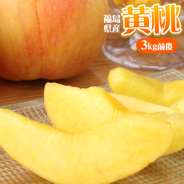 エントリーでポイント5倍 本場の 黄桃 贈答用 秀品 送料無料 お徳用【福島県産 黄桃 3kg前後】（9-13玉） エコファーマー ふくしま土壌ネットワーク 桃の会 農家直送 献上桃 フルーツ ピーチ もも モモ ギフト 黄金桃 黄貴妃 黄ららのきわみ  [産地直送 同梱不可]