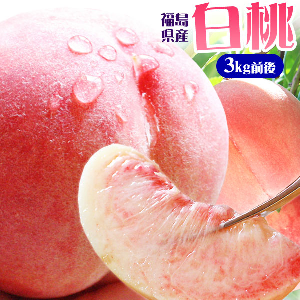 エントリーでポイント5倍 本場の 白桃 贈答用 秀品 送料無料 秀品 お徳用【福島県産 白桃 3kg前後】（9-13玉） エコファーマー ふくしま土壌ネットワーク 桃の会 農家直送 献上桃 フルーツ ピーチ もも モモ ギフト[産地直送 同梱不可]
