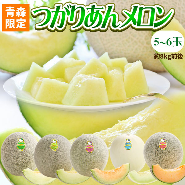 エントリーでポイント5倍 青森県産【つがりあん メロン 5～6玉 約8Kg前後】 L～2Lサイズ 送料無料 贈答用 青森のブランド めろん を産地直送 [※同梱不可・配送指定不可]