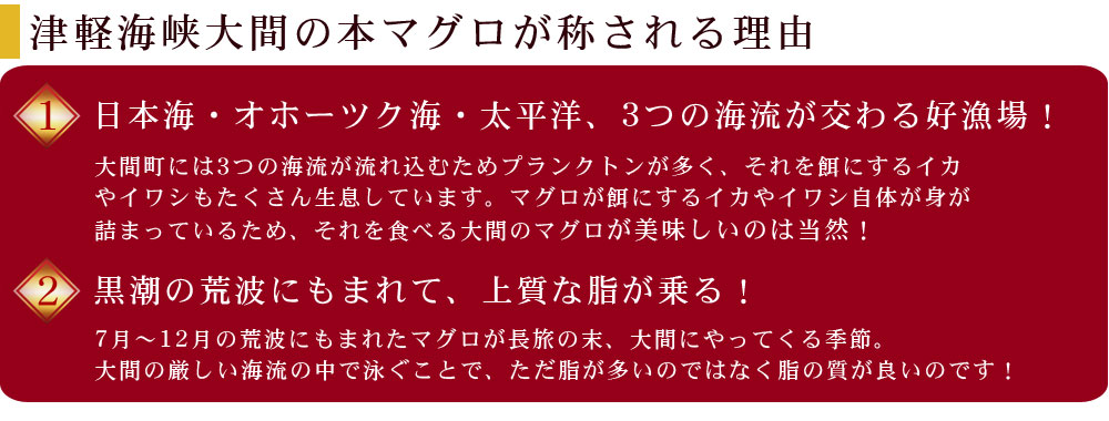 青森 大間 本マグロ 大とろ150g 中とろ150g 赤身150g 送料無料 大間産本まぐろ3種セット まぐろ 大間 マグロ 鮪 お歳暮 冷凍便 同梱不可 Sandjfisheries Co Uk