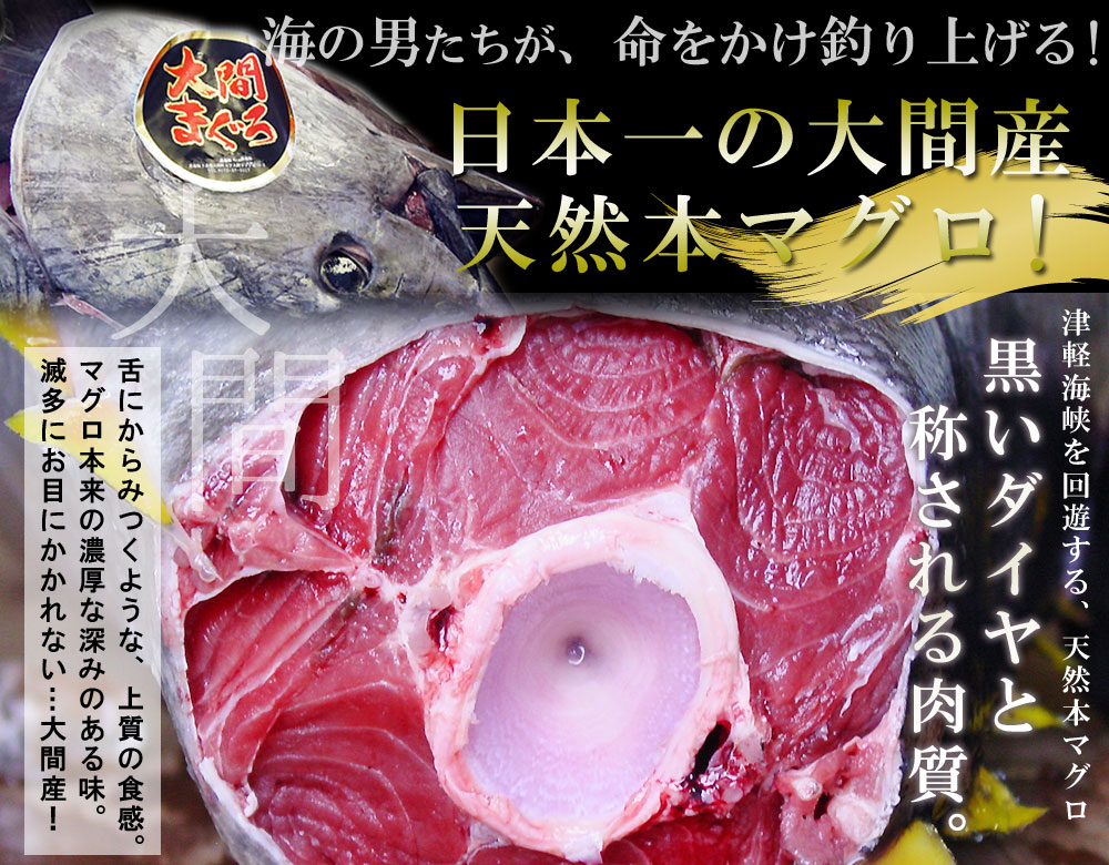 SALE／65%OFF】 青森 大間 本マグロ 送料無料 赤身150g 中トロ150g まぐろ マグロ 鮪 お歳暮 ※冷凍便 ※同梱不可  qdtek.vn