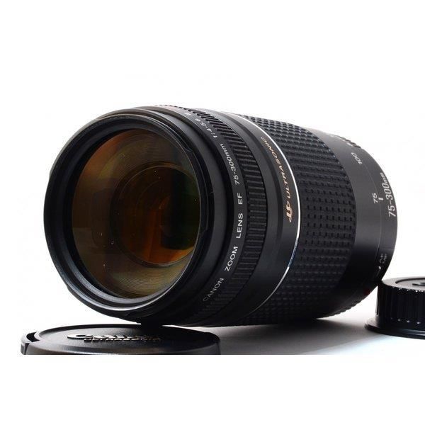 10月7日限定販売♪【超望遠レンズ】Canon EF 75-300mm 411rDo44VGL._UF350,350_QL80_.jpg