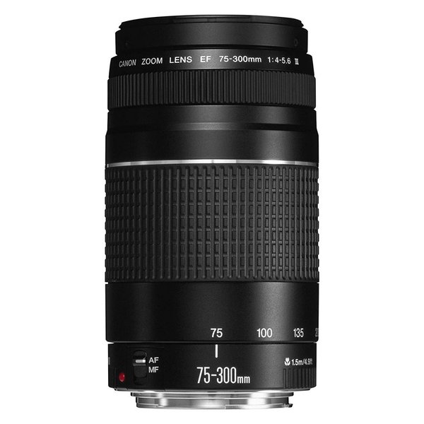 人気アイテム キヤノン Canon EF 75-300mm II 超望遠レンズ イベントに 