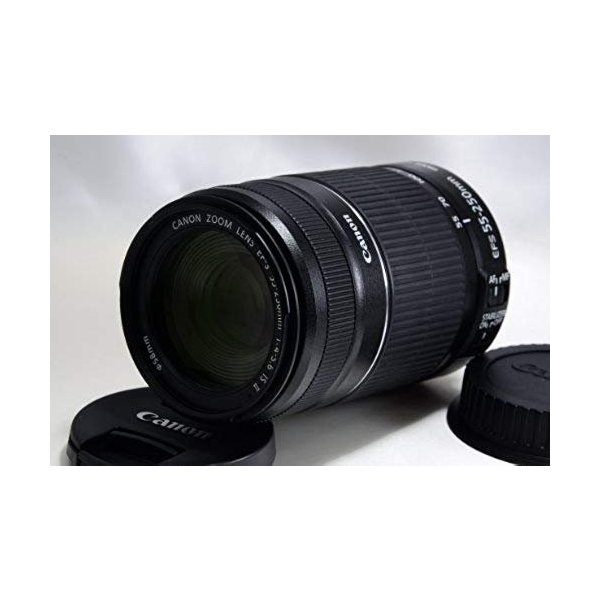 最高の瞬間を望遠で！ Canon キヤノン 望遠レンズ EF75-300mm＃⑧ Canon EF 75-300mm f/4-5.6 III 望遠ズームレンズ 2倍望遠レンズ