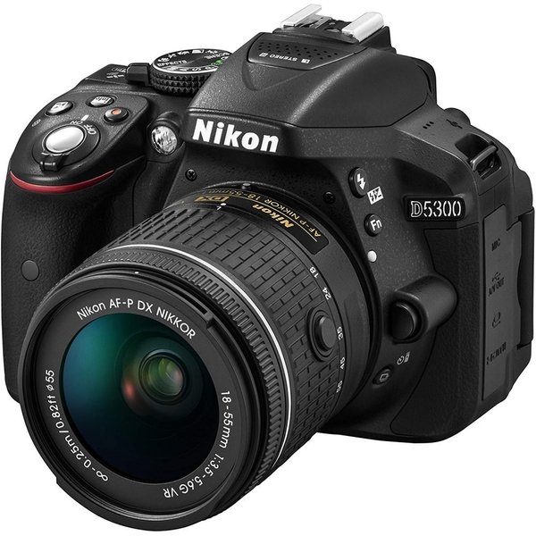 フラワープリント NIKON D5300 ダブルズームキット(SDカード付き即撮影