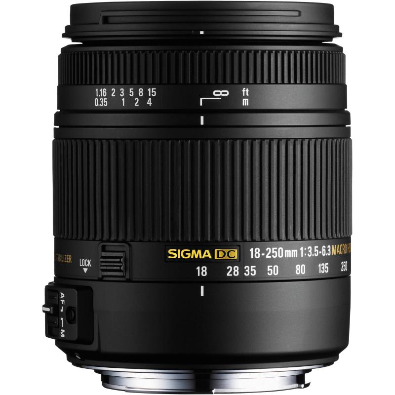 【中古】高倍率ズームレンズ 18-250mm F3.5-6.3 DC MACRO HSM ソニー用 APS-C専用 883621 カメラ 一眼レフ ミラーレス レンズ 中古 人気 おすすめ 高画質