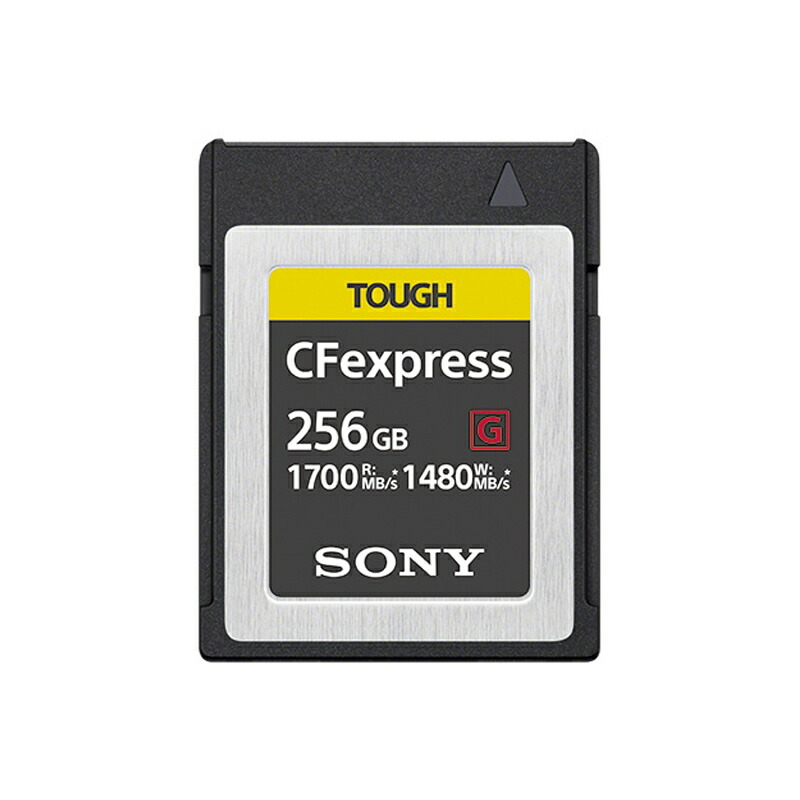 楽天市場】CFexpress Type B メモリーカード 660GB MCCF660G : Pro Lab