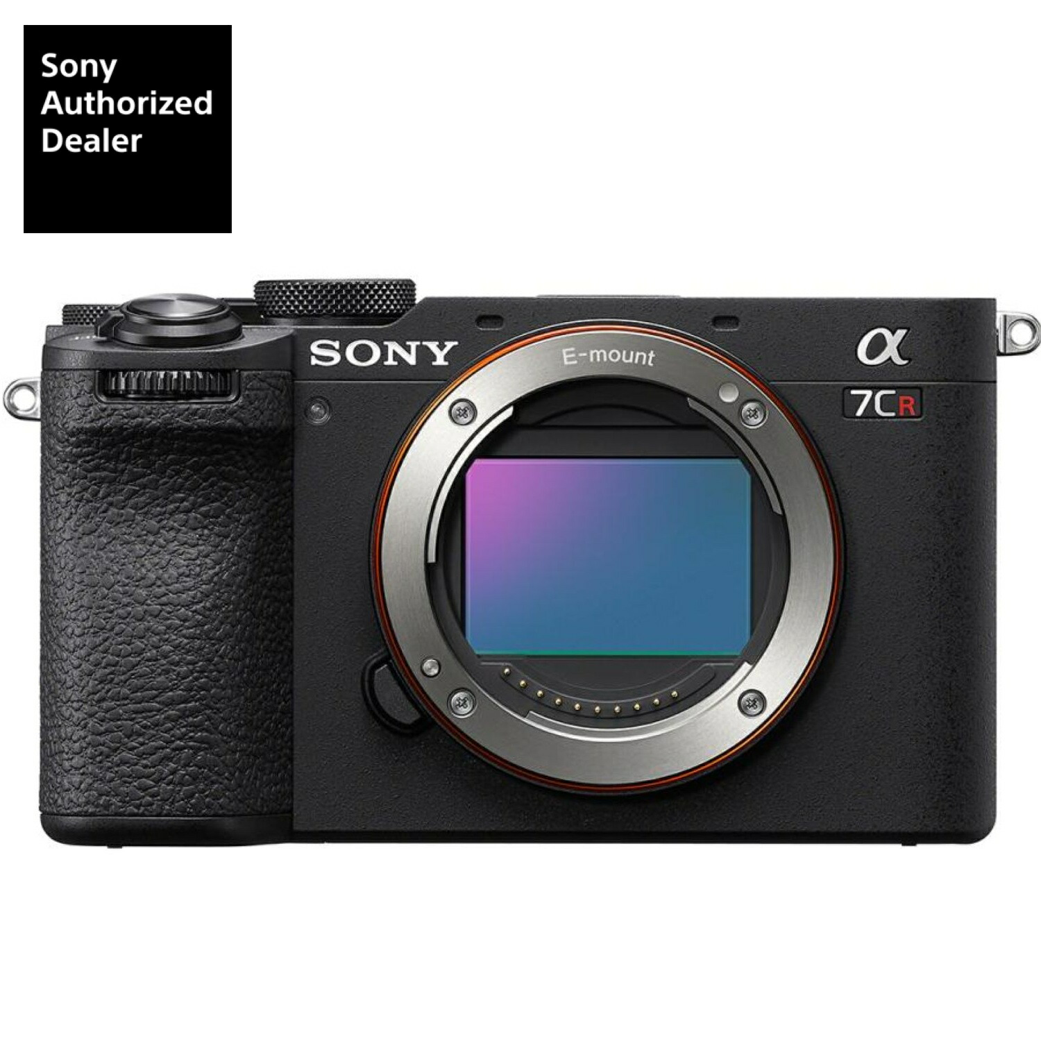 SONY ミラーレス一眼カメラ シルバー imgrc0137425124.jpg