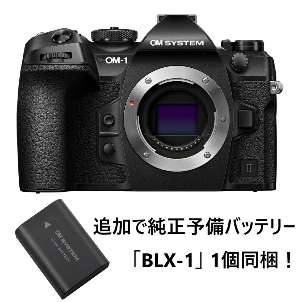 楽天市場】[新品]OM SYSTEM オーエムシステム ミラーレス一眼カメラ OM-1 Mark II 12-40mm F2.8 PRO II レンズキット  今なら純正予備バッテリー1個プレゼント！ : カメラの大林楽天市場店