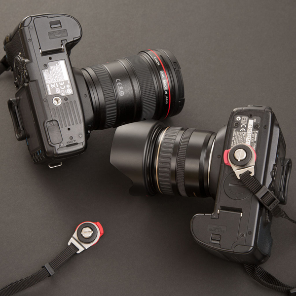 楽天市場 カメラストラップ 一眼レフ ミラーレス カメラレンズ カメラ ストラップ国内唯一の取り扱い レンズが下を向く優れモノ Camera Strap Buddy カメラストラップバディ Diagnlストア